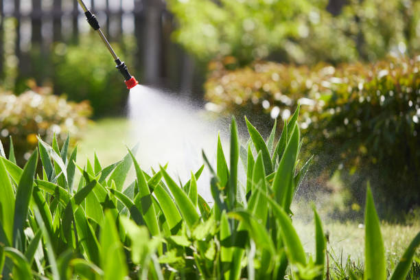24/7 Emergency Mosquito Control experts in Pablo, MT